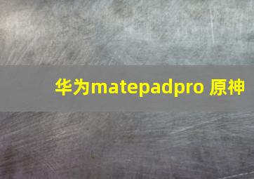 华为matepadpro 原神